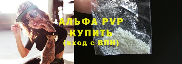 ECSTASY Пересвет