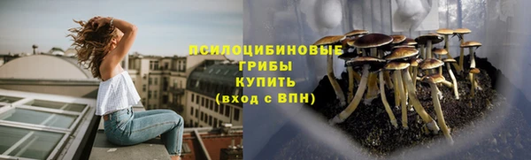 круглые Пестово