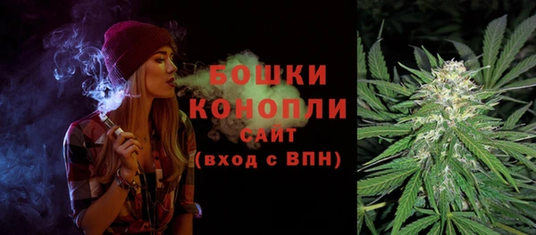 ECSTASY Пересвет