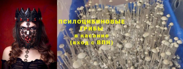 СК Абаза